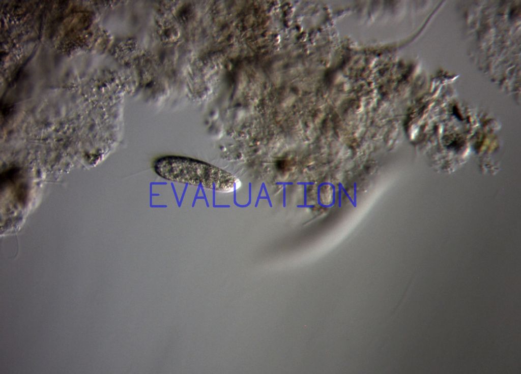 Illuminazione laterale